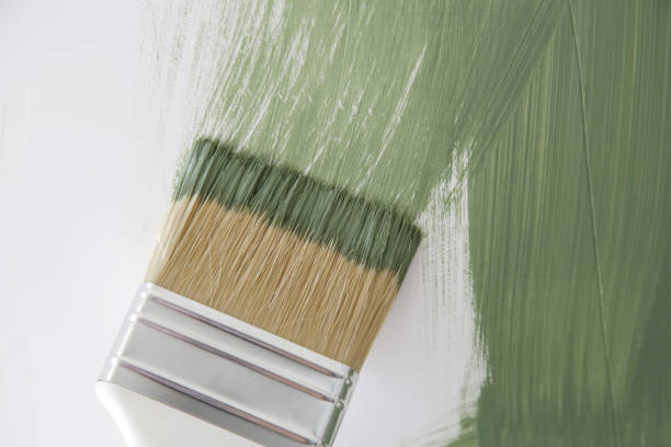 Best Mold Prevention Services  in International Falls, MN