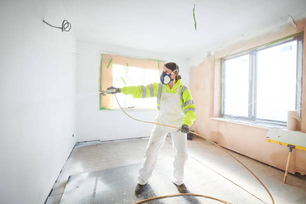 Best Environmental Consulting for Mold Prevention  in International Falls, MN
