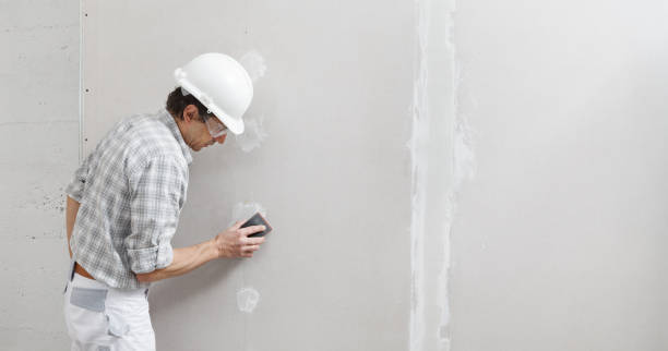 Best Air Quality Testing for Mold Spores  in International Falls, MN