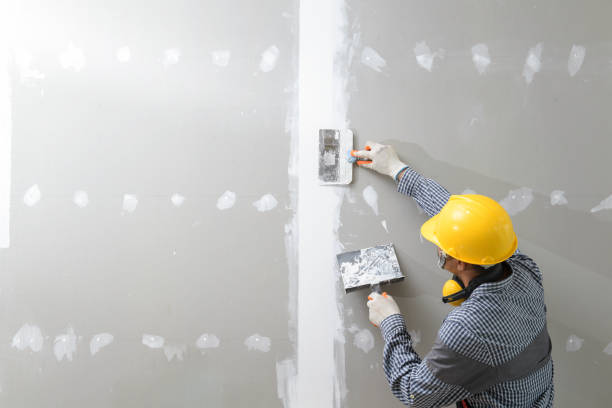  International Falls, MN Mold Removal Pros