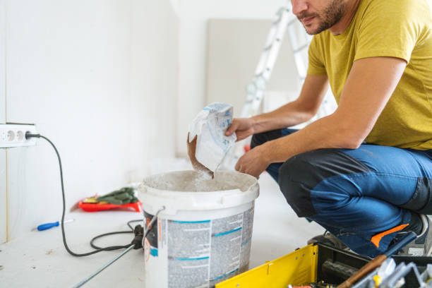 Best Biohazard Mold Removal  in International Falls, MN