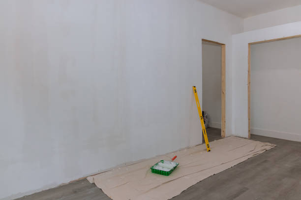 Best Attic Mold Removal  in International Falls, MN