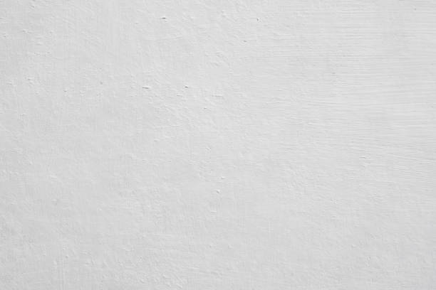 Best Basement Mold Removal  in International Falls, MN