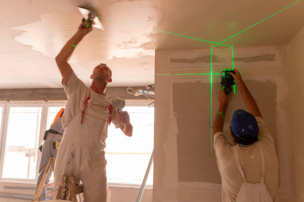 Best Asbestos and Lead Testing During Mold Inspection  in International Falls, MN
