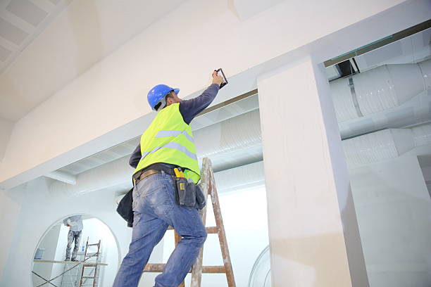 Best Mold Damage Restoration  in International Falls, MN