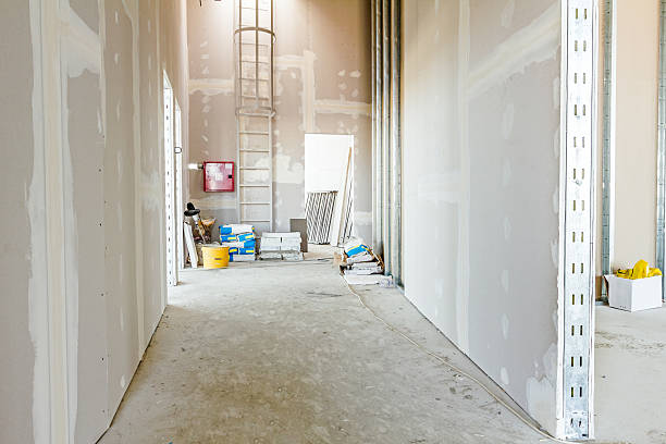 Best Black Mold Removal  in International Falls, MN
