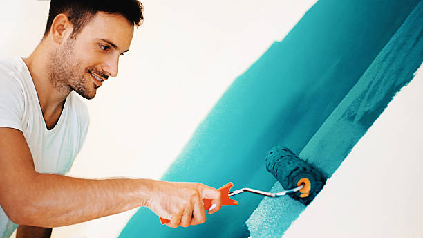 Best Emergency Mold Remediation  in International Falls, MN